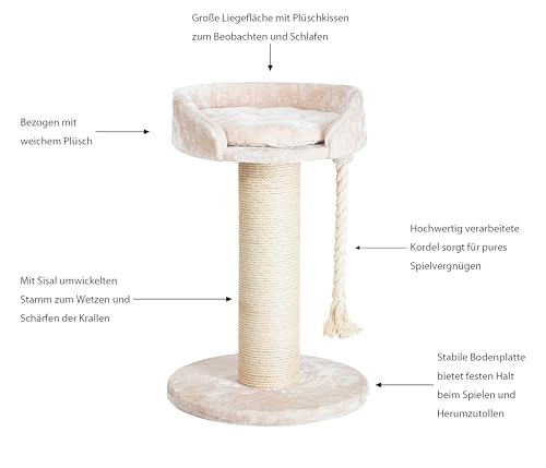 dehner-aurelio-kratzbaum-creme-65x65x100-cm-sisal image 5
