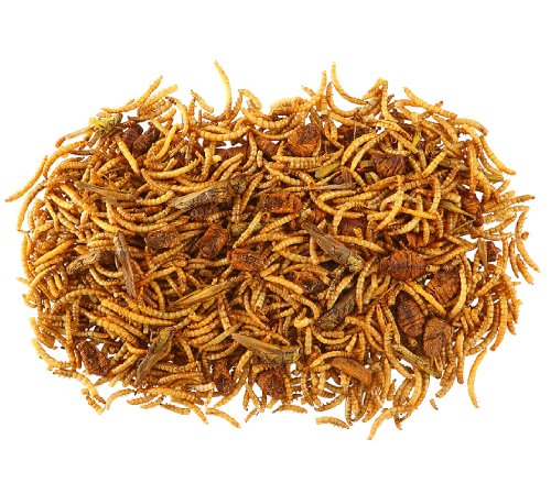 dehner-best-nature-nagersnack-insekten-mix-3x60-g image 6