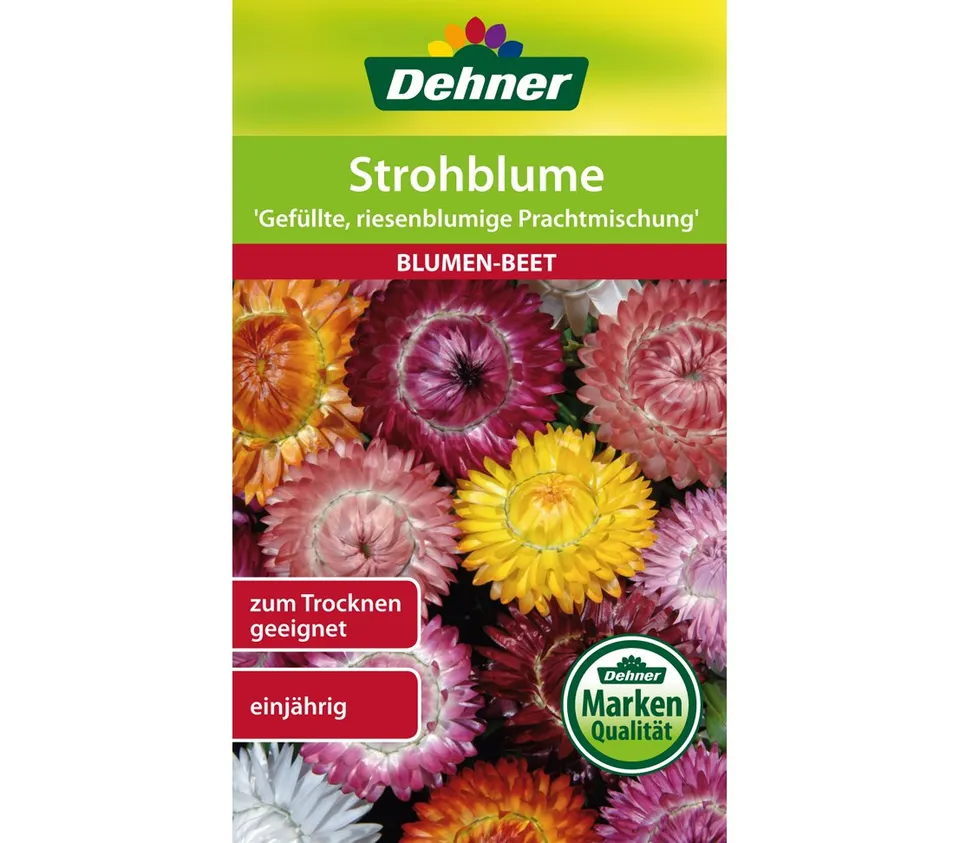 dehner-strohblume-blumensamen-gef-llte-prachtmischung-einj-hrig image 1