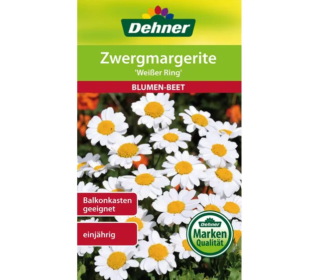 dehner-zwergmargerite-wei-er-ring-blumensamen-5er image 1