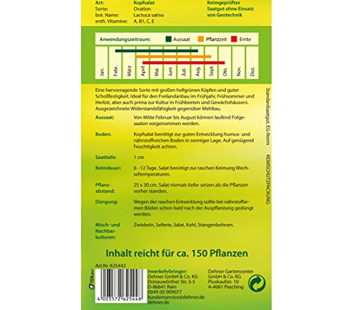 dehner-ovation-kopfsalat-samen-5er-pack-scho-fest image 4