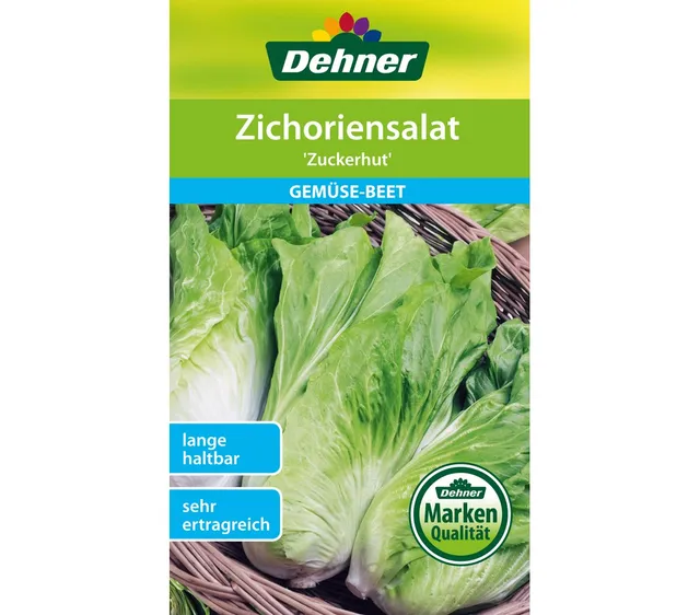 dehner-zuckerhut-zichoriensalat-saatgut-5x10-g-herbstanbau image 1