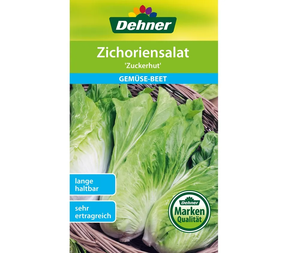 dehner-zuckerhut-zichoriensalat-saatgut-5x10-g-herbstanbau image 1