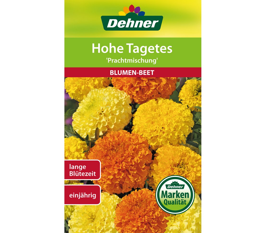 dehner-blumen-saatgut-hohe-tagetes-prachtmischung-5x1-3g image 1