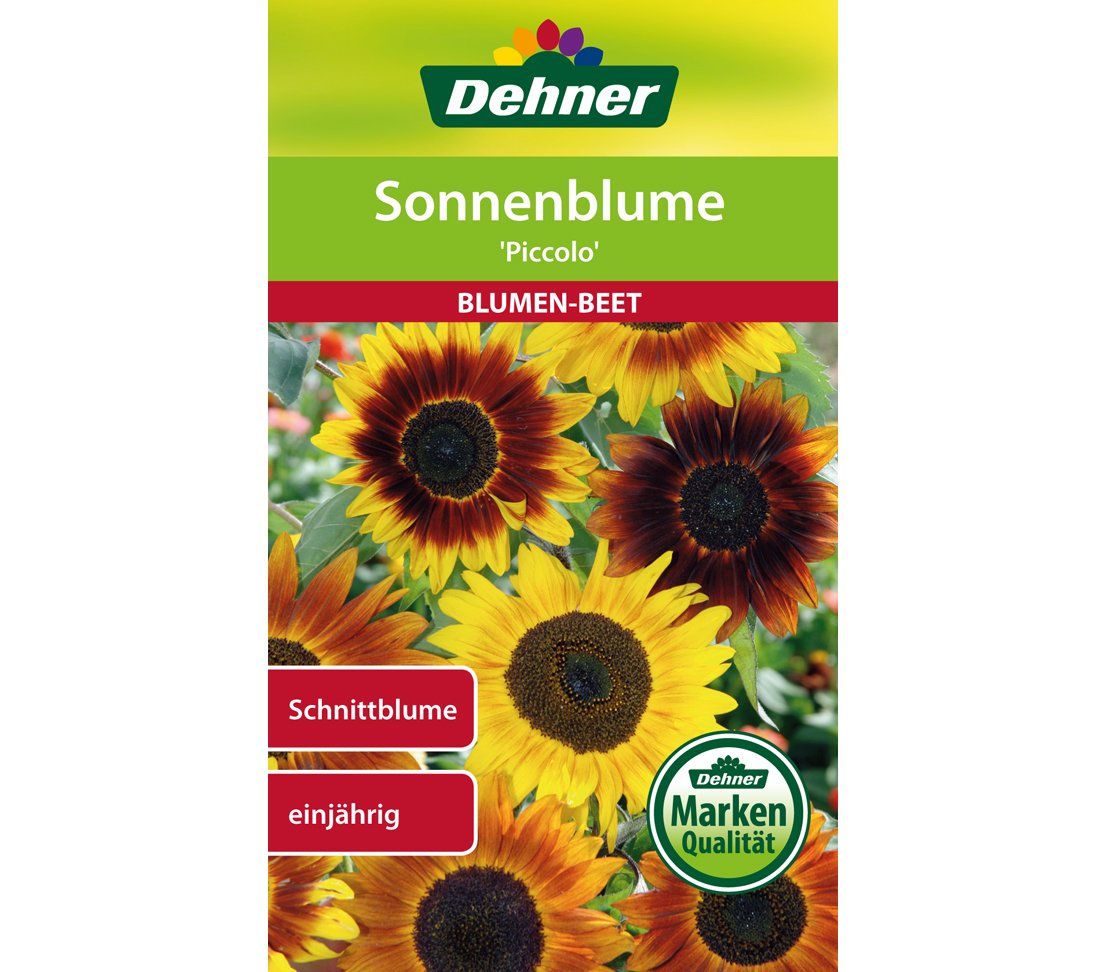 dehner-sonnenblume-piccolo-blumensamen-5x3g-einj-hrig image 1