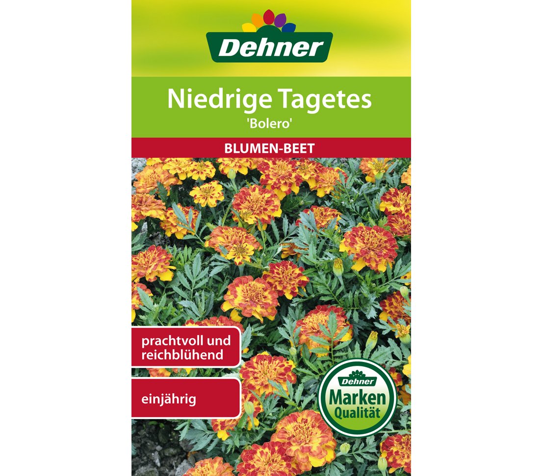 dehner-niedrige-tagetes-bolero-blumensamen-5er-pack-einj-hrig image 1