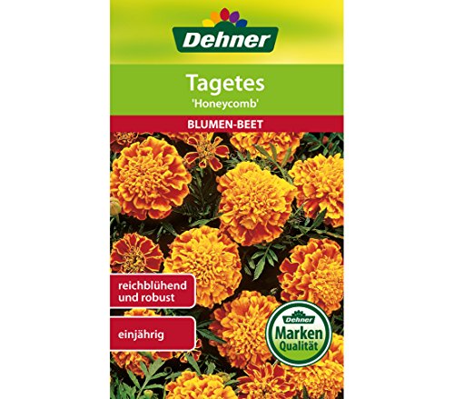 dehner-tagetes-honeycomb-blumensamen-5er-pack image 3