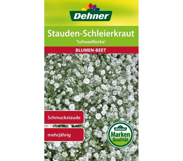 dehner-blumen-saatgut-schleierkraut-schneeflocke-5x2g image 1