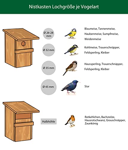 dehner-natura-nistkasten-livorno-32-mm-kiefernholz-blau-vogelnistkasten image 5