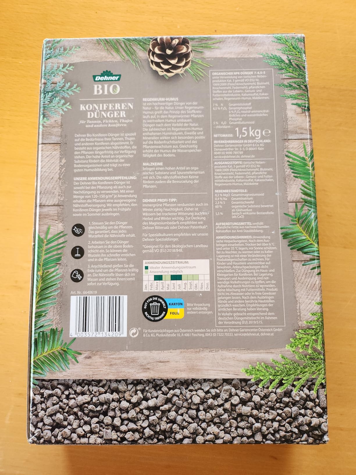 Thuja wird dichter