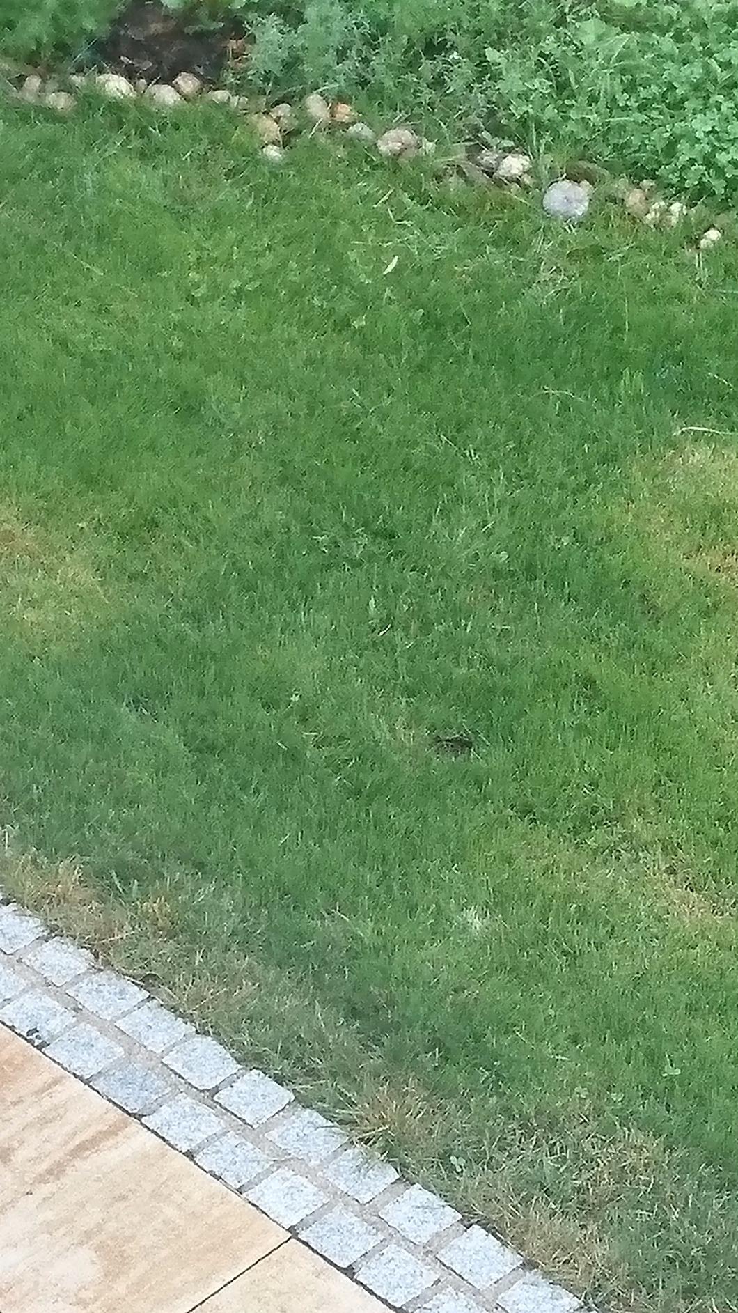 Gut zu streuen