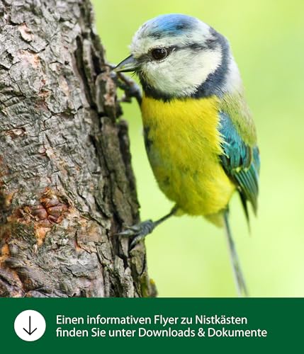 dehner-natura-jonna-nistkasten-holz-32mm-einflugloch-natur image 6