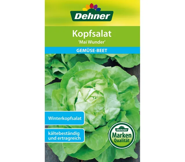 dehner-mai-wunder-kopfsalat-samen-5er-pack-winterhart image 1