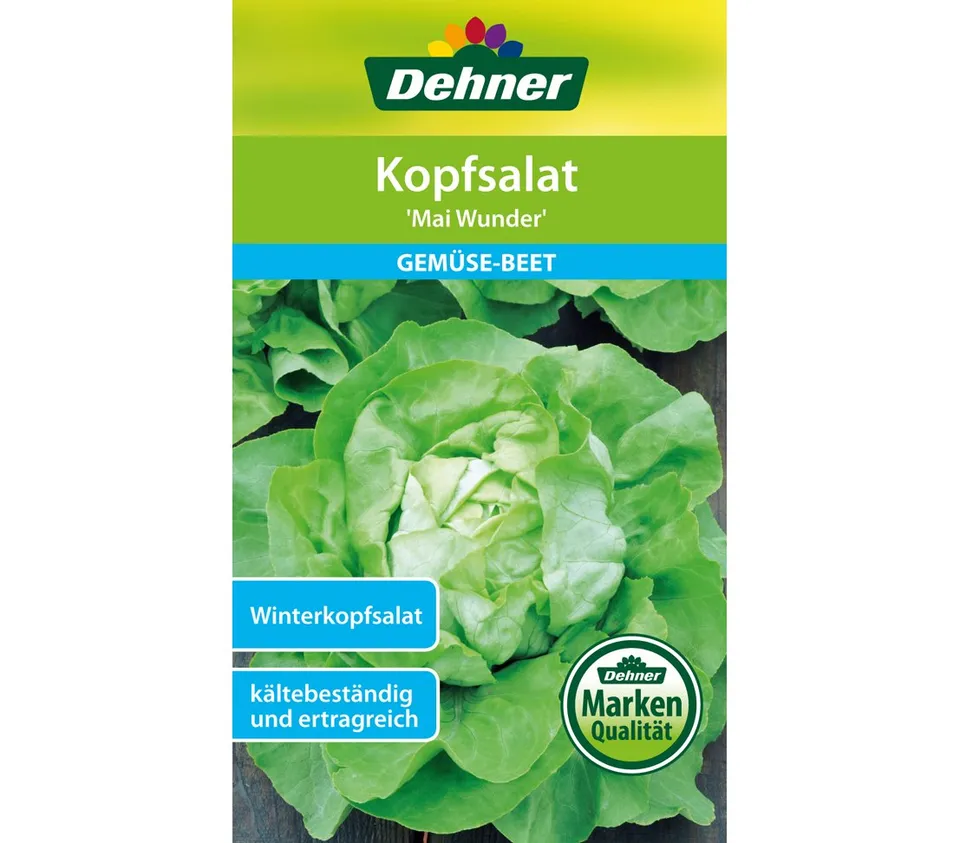 dehner-mai-wunder-kopfsalat-samen-5er-pack-winterhart image 1