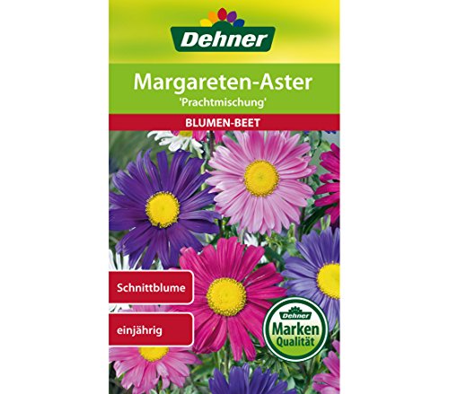 dehner-margareten-aster-prachtmischung-blumensamen-5er-pack-duft image 3