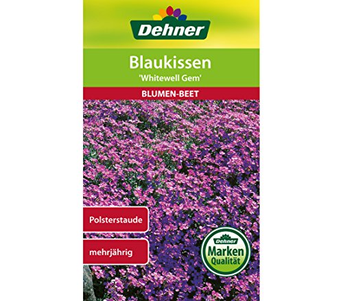 dehner-blaukissen-whitewell-gem-saatgut-5er-pack image 3