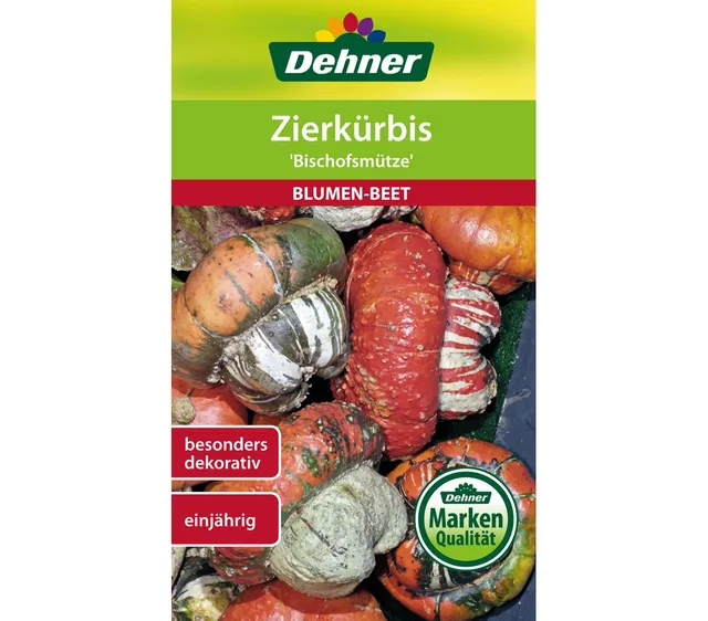 dehner-zierk-rbis-bischofsm-tze-blumensaatgut-5x6g-herbstdeko image 1