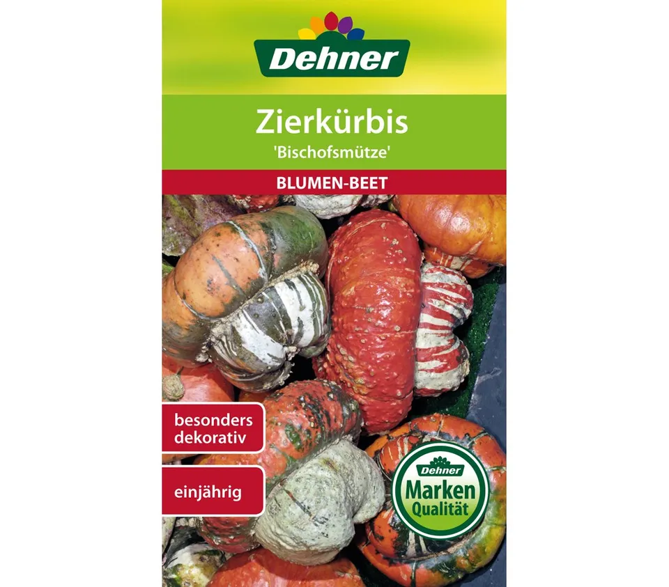 dehner-zierk-rbis-bischofsm-tze-blumensaatgut-5x6g-herbstdeko image 1