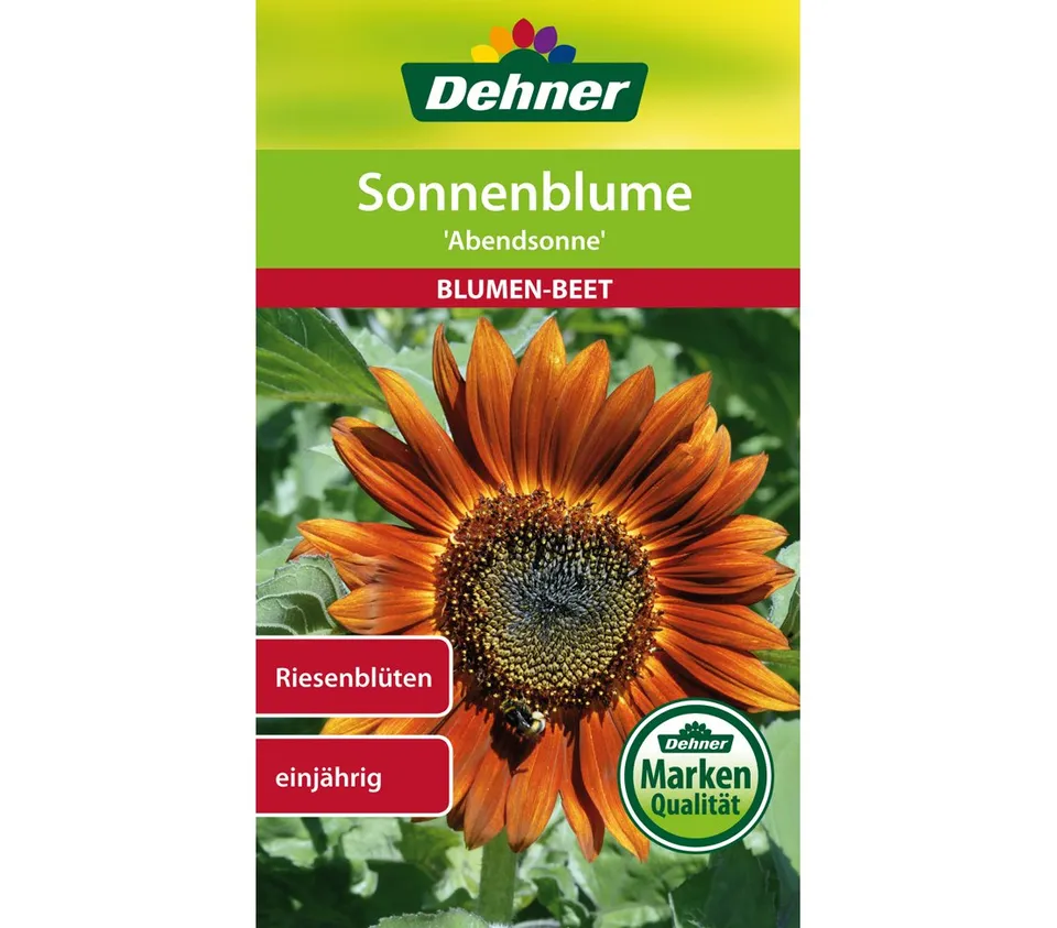 dehner-sonnenblume-abendsonne-blumensamen-5x4-g-einj-hrig image 1