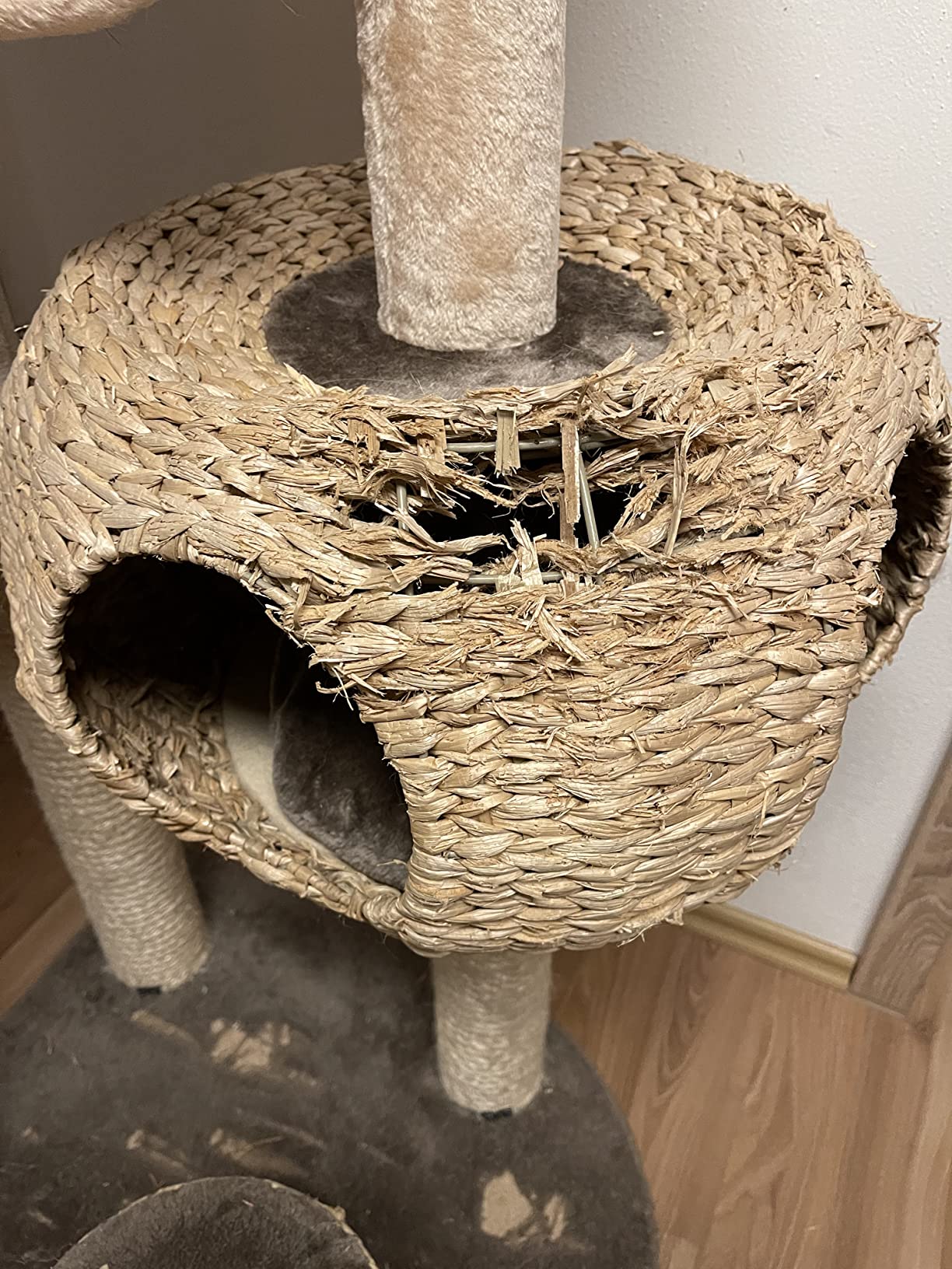 Sisal hält