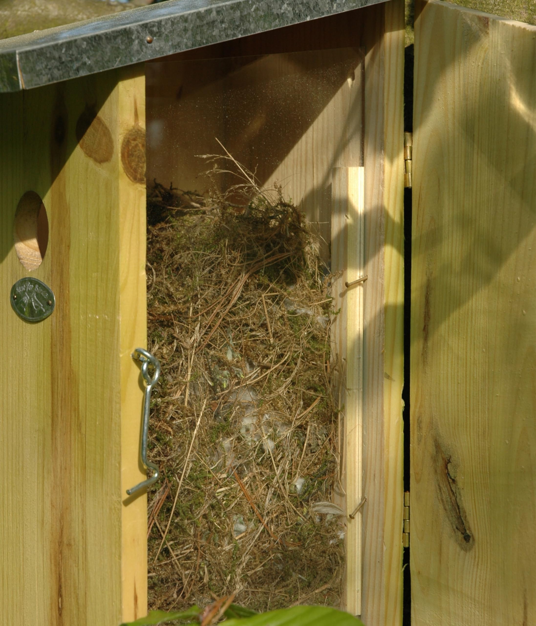 dehner-beobachtungsnistkasten-holz-plexiglas-kohlmeisen-33cm image 4