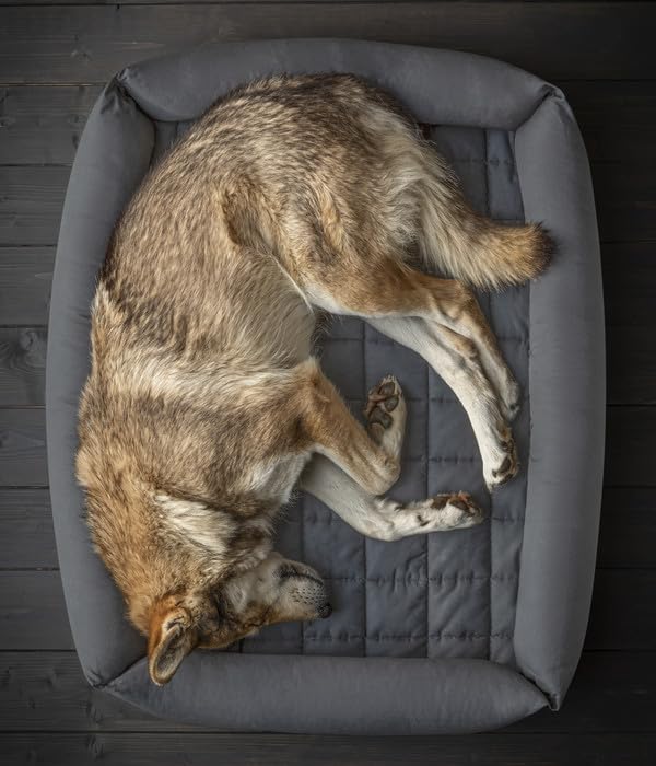 dehner-wild-nature-nest-hundebett-katzenbett-80x60-dunkelgrau image 4