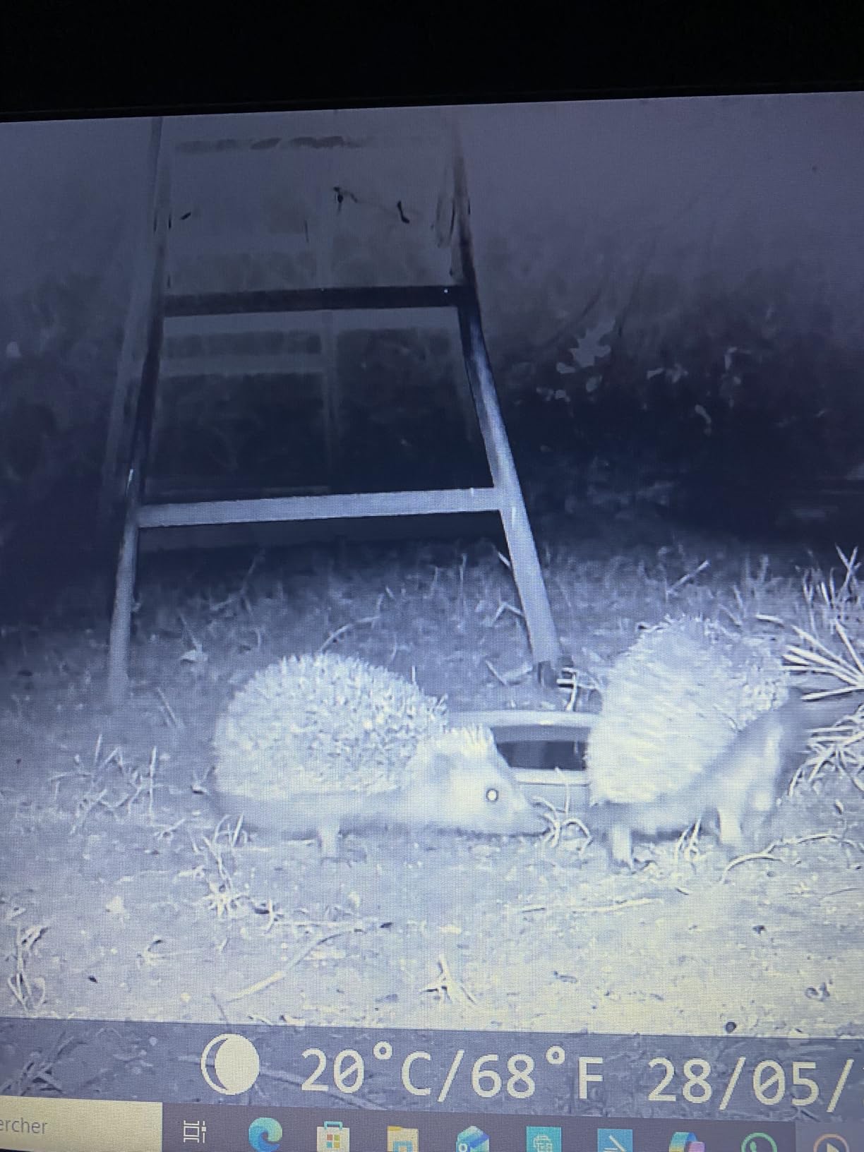 Zwei Besucher