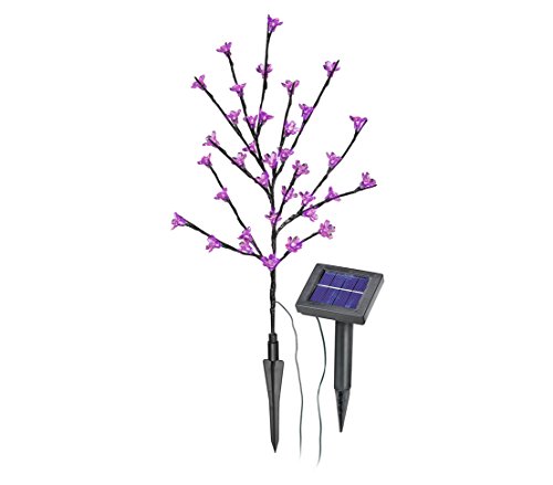 dehner-living-solar-bl-tenstrauch-pink-36-led-60-cm image 3