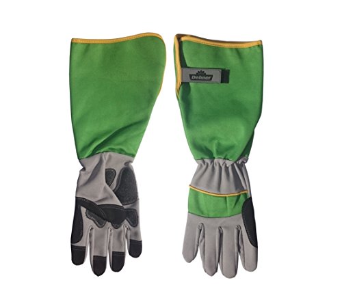 dehner-rosenhandschuh-gr-e-8-m-2er-pack-dornenfest image 3