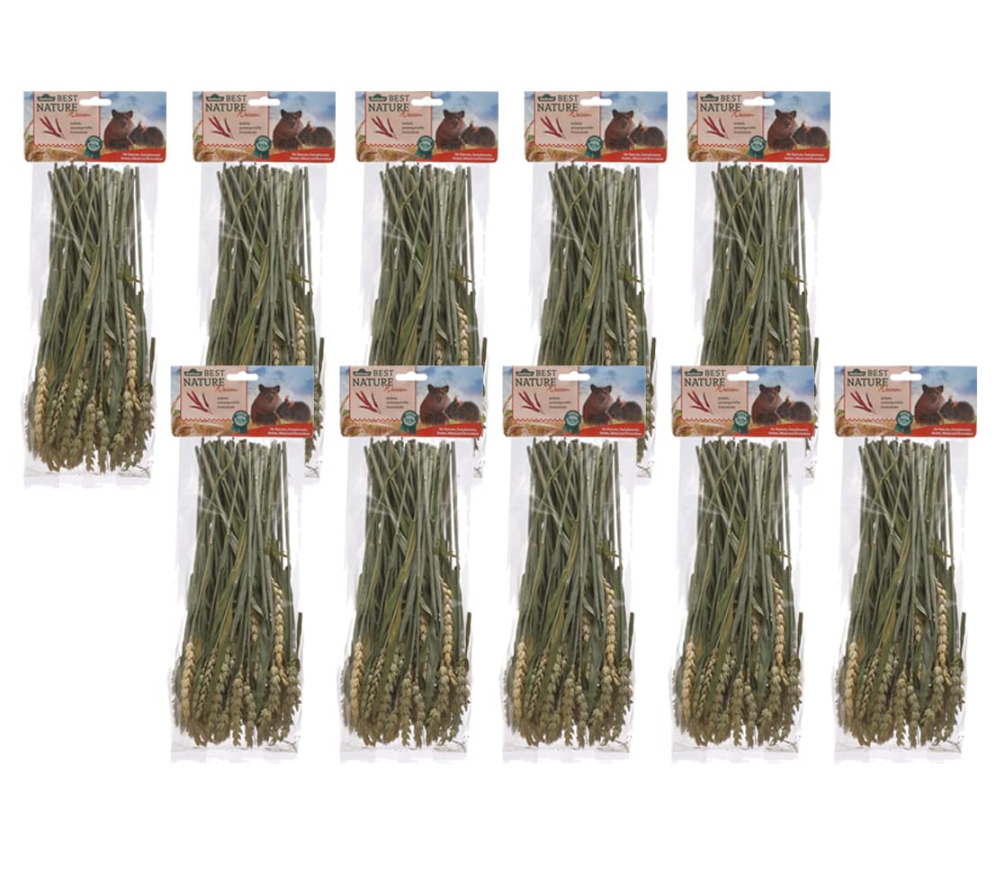 dehner-best-nature-nagersnack-haselnusszweige-250g image 4