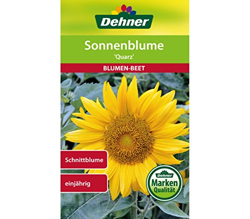 dehner-sonnenblume-quarz-blumensamen-5x3-g-gelb-120-cm image 3