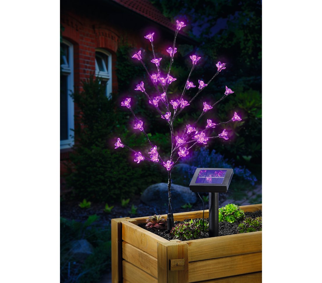 dehner-living-solar-bl-tenstrauch-pink-36-led-60-cm image 2