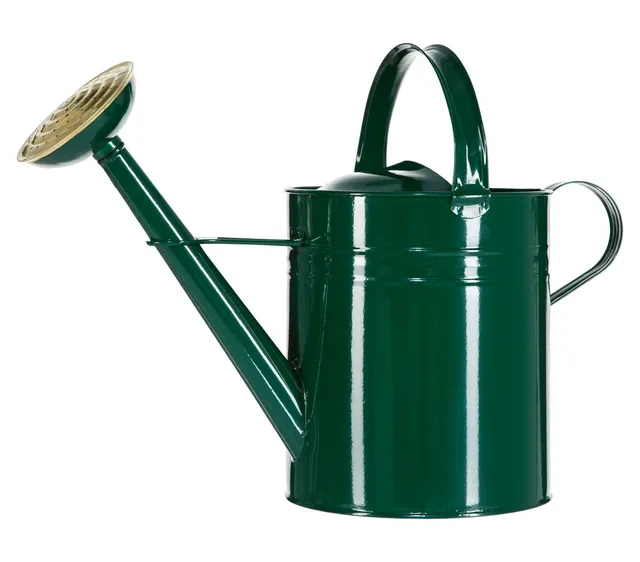 dehner-gie-kanne-nostalgisch-zink-gr-n-9-l image 1