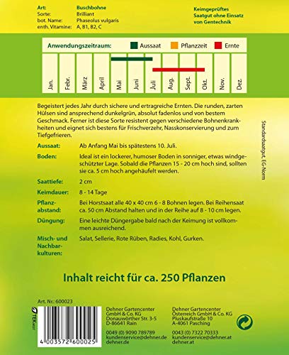 dehner-buschbohne-brilliant-saatgut-5er-pack-fadenlos image 4