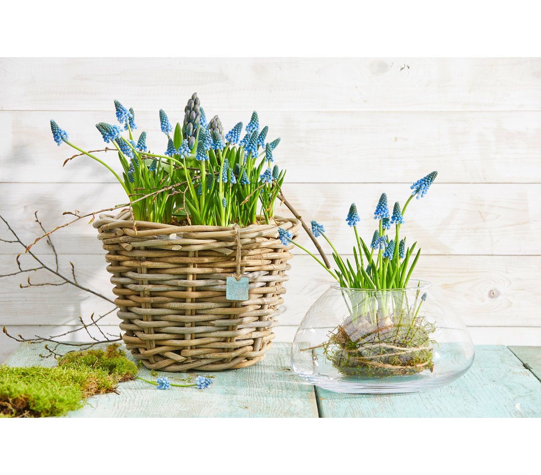 dehner-rattan-pflanztopf-29x29x20-cm-grau-braun image 3