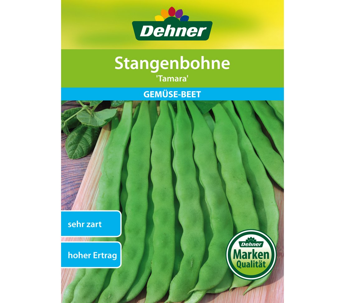 dehner-stangenbohne-tamara-bohnensamen-5er-pack-ertragreich image 1
