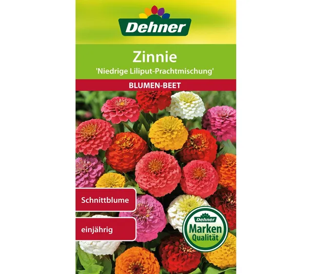 dehner-niedrige-liliput-zinnie-blumensamen-5x2g-einj-hrig image 1