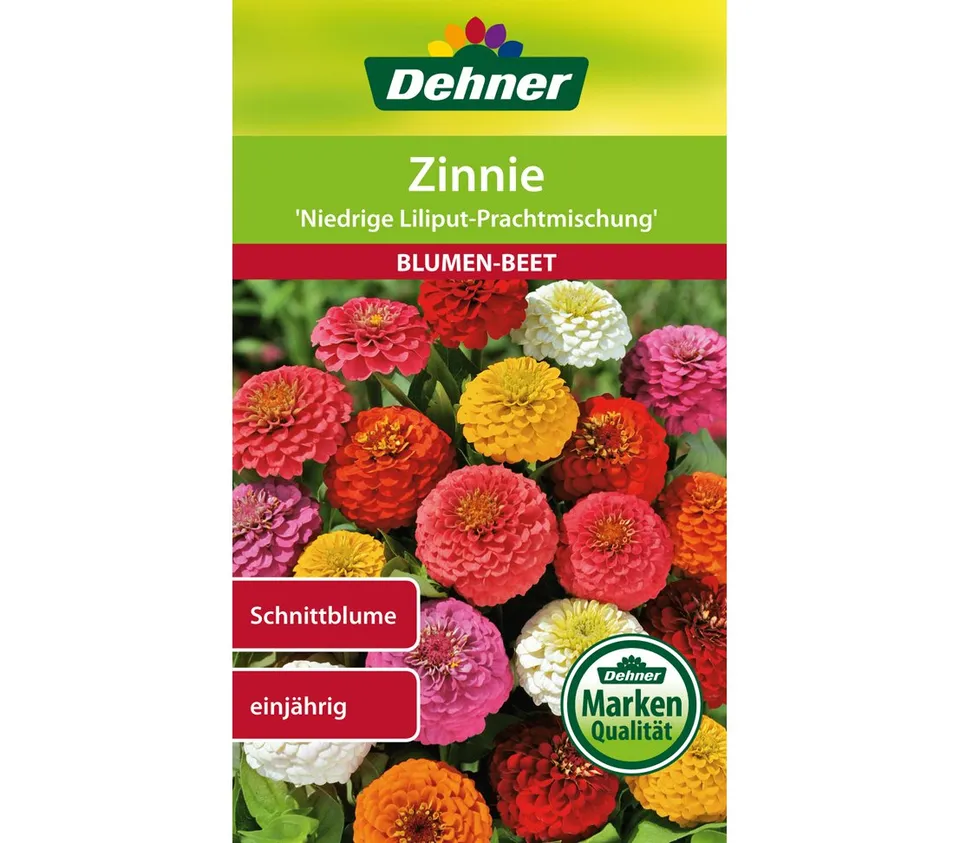 dehner-niedrige-liliput-zinnie-blumensamen-5x2g-einj-hrig image 1
