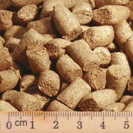 bubeck-trockenfutter-windhund-truthahn-getreidefrei-gebacken image 2