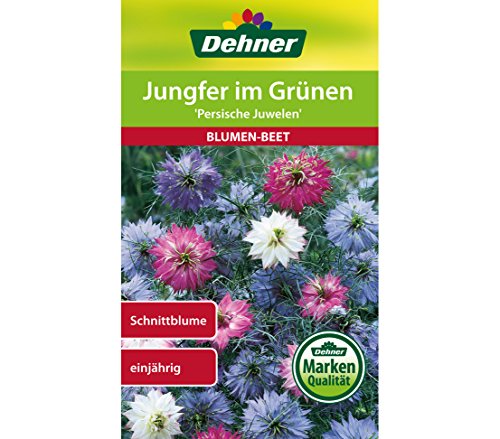 dehner-jungfer-im-gr-nen-persische-juwelen-blumensamen-5x2g-einj-hrig image 3