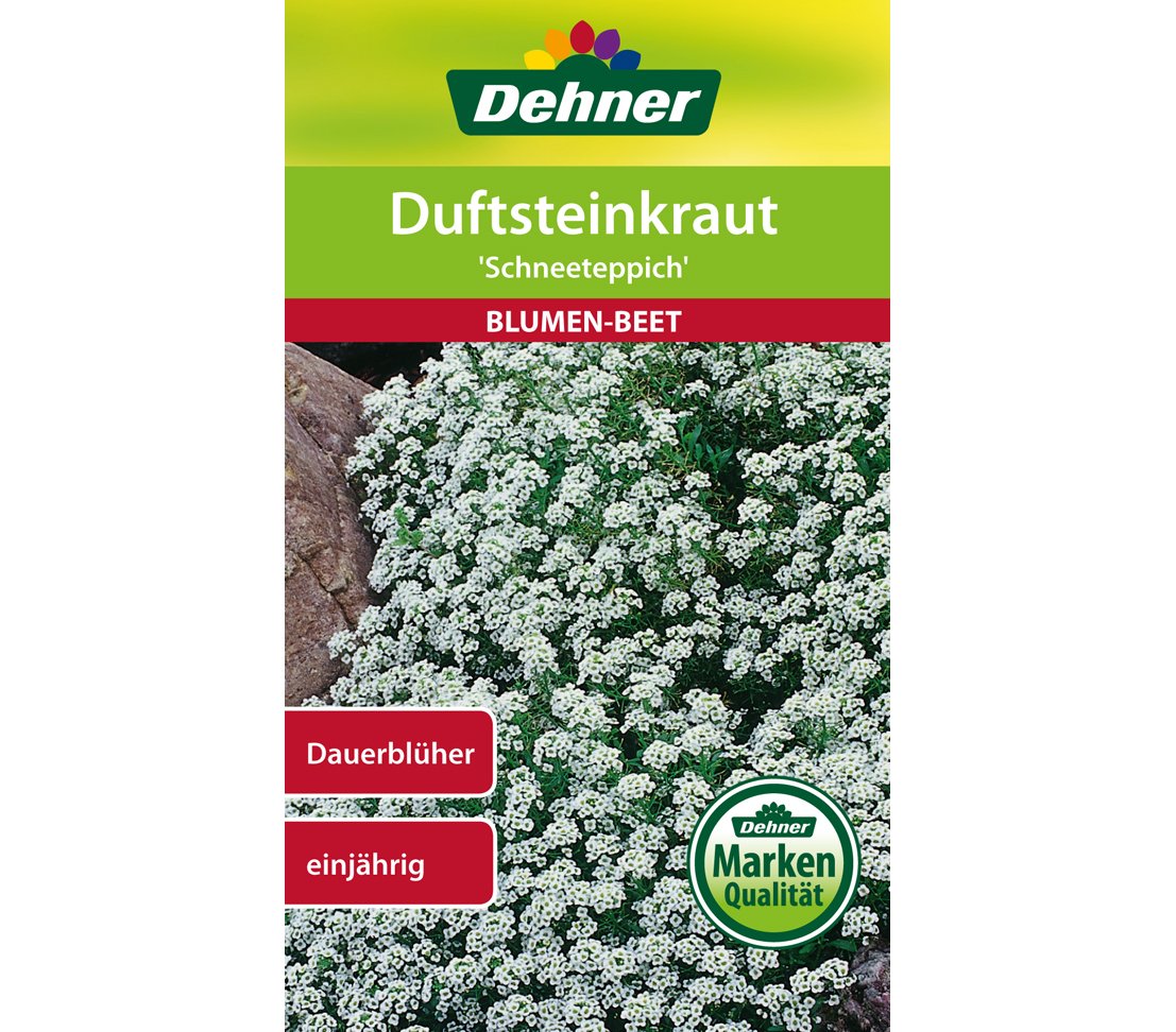 dehner-duftsteinkraut-schneeteppich-blumensamen-5er-pack-wei image 1