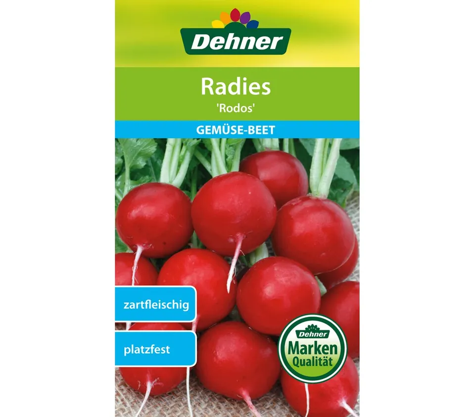 dehner-rodos-radies-samen-4-g-zart-platzfest image 1