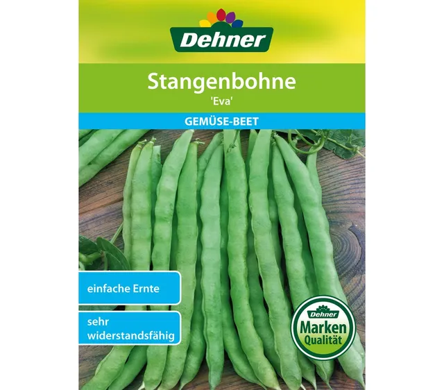dehner-stangenbohne-eva-bohnensamen-5er-pack-fr-h image 1