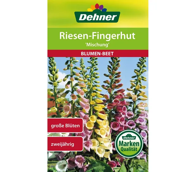 dehner-riesen-fingerhut-mischung-blumensamen-5er-pack image 1