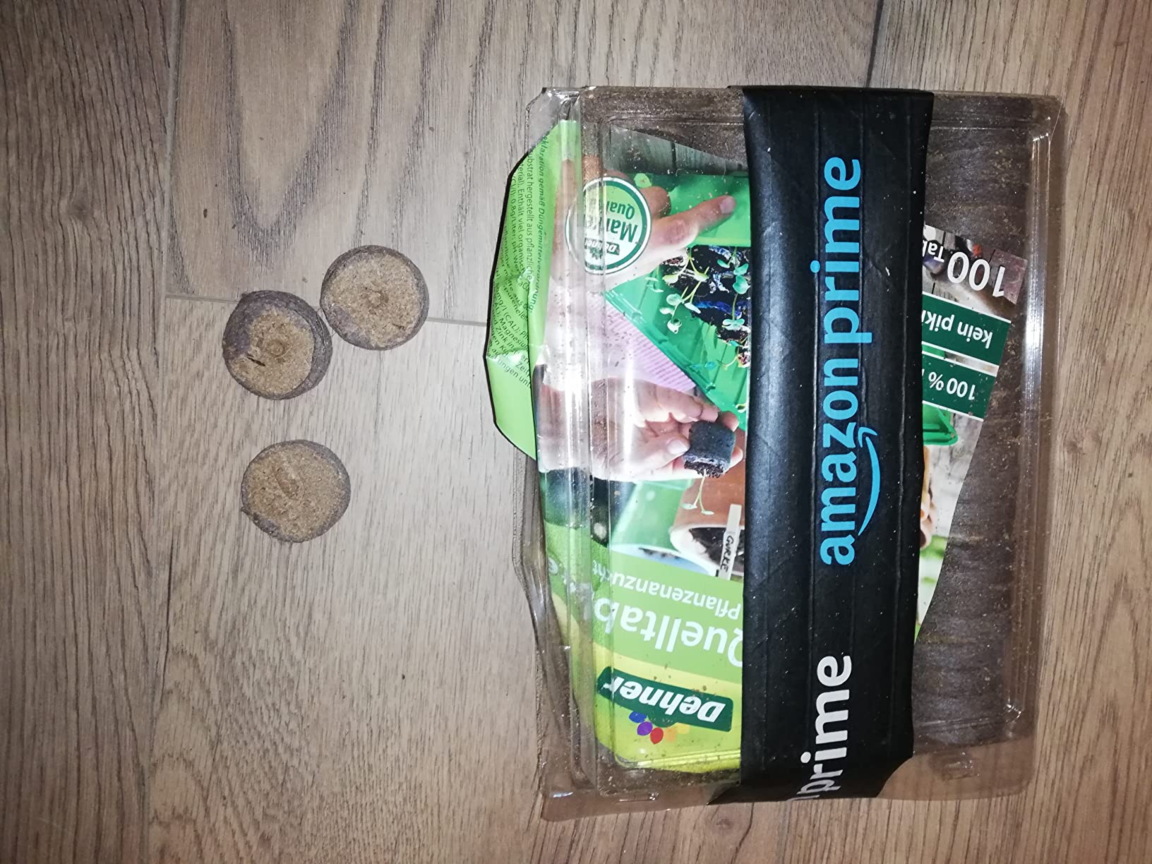 Kräftig angewachsen