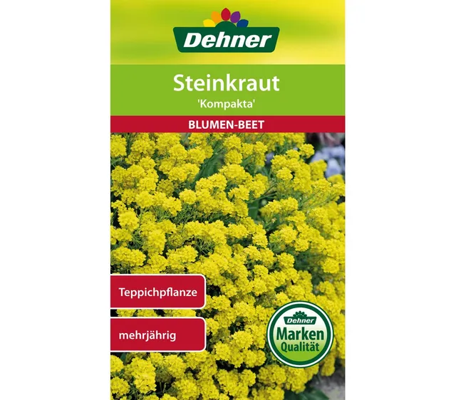 dehner-steinkraut-kompakta-blumensamen-gelb-5er-pack image 1