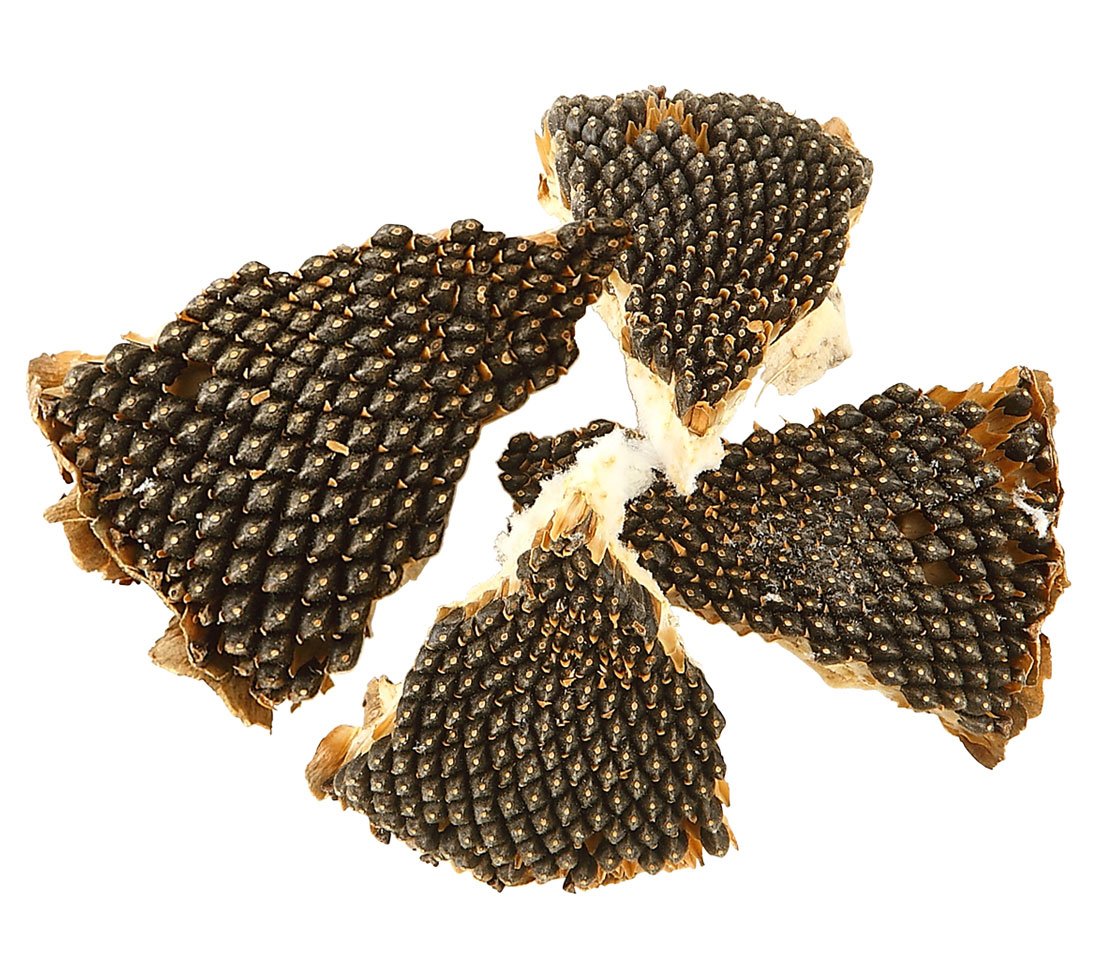 dehner-best-nature-nagersnack-sonnen-wiese-3x50-g-zuckerarm image 3