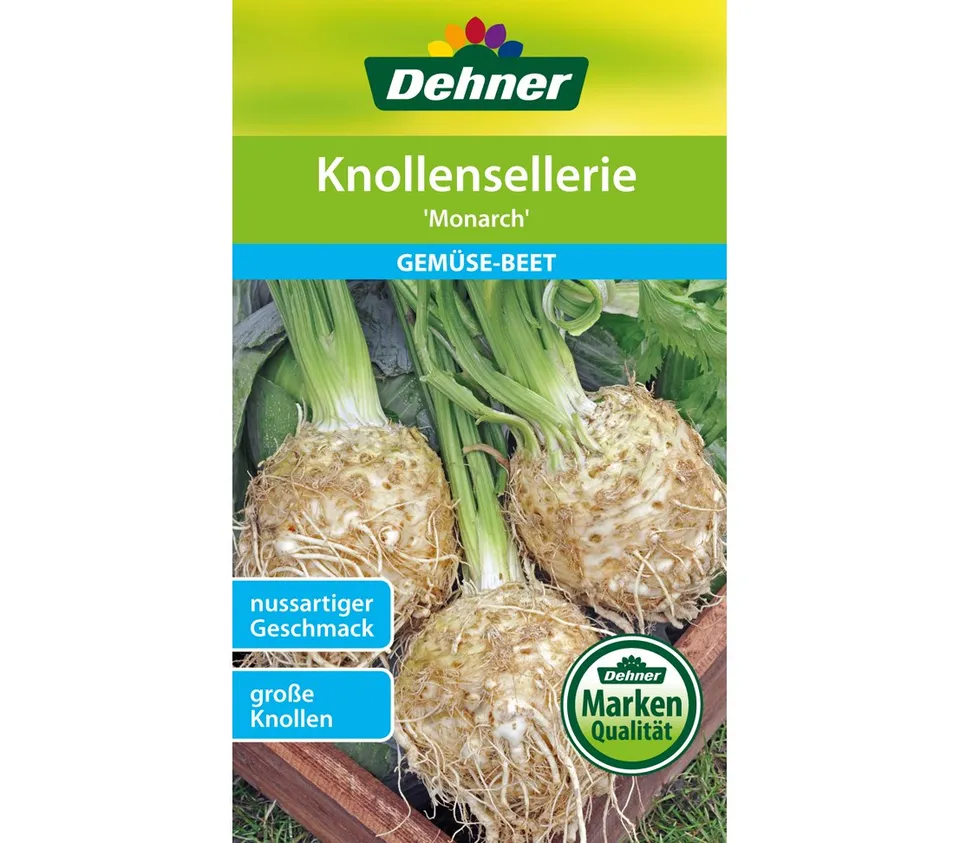 dehner-knollensellerie-monarch-gem-sesamen-1-g-wei-es-fleisch image 1