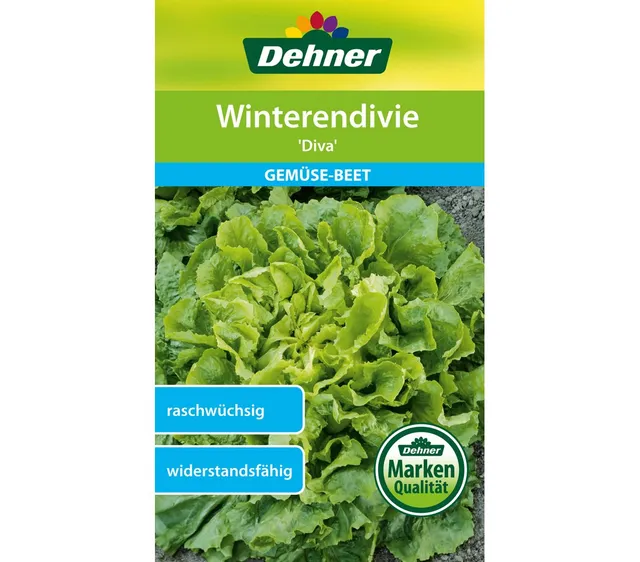dehner-winterendivie-diva-gem-sesamen-3g-ertragreich image 1