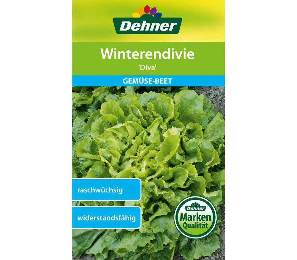 dehner-winterendivie-diva-gem-sesamen-3g-ertragreich image 1